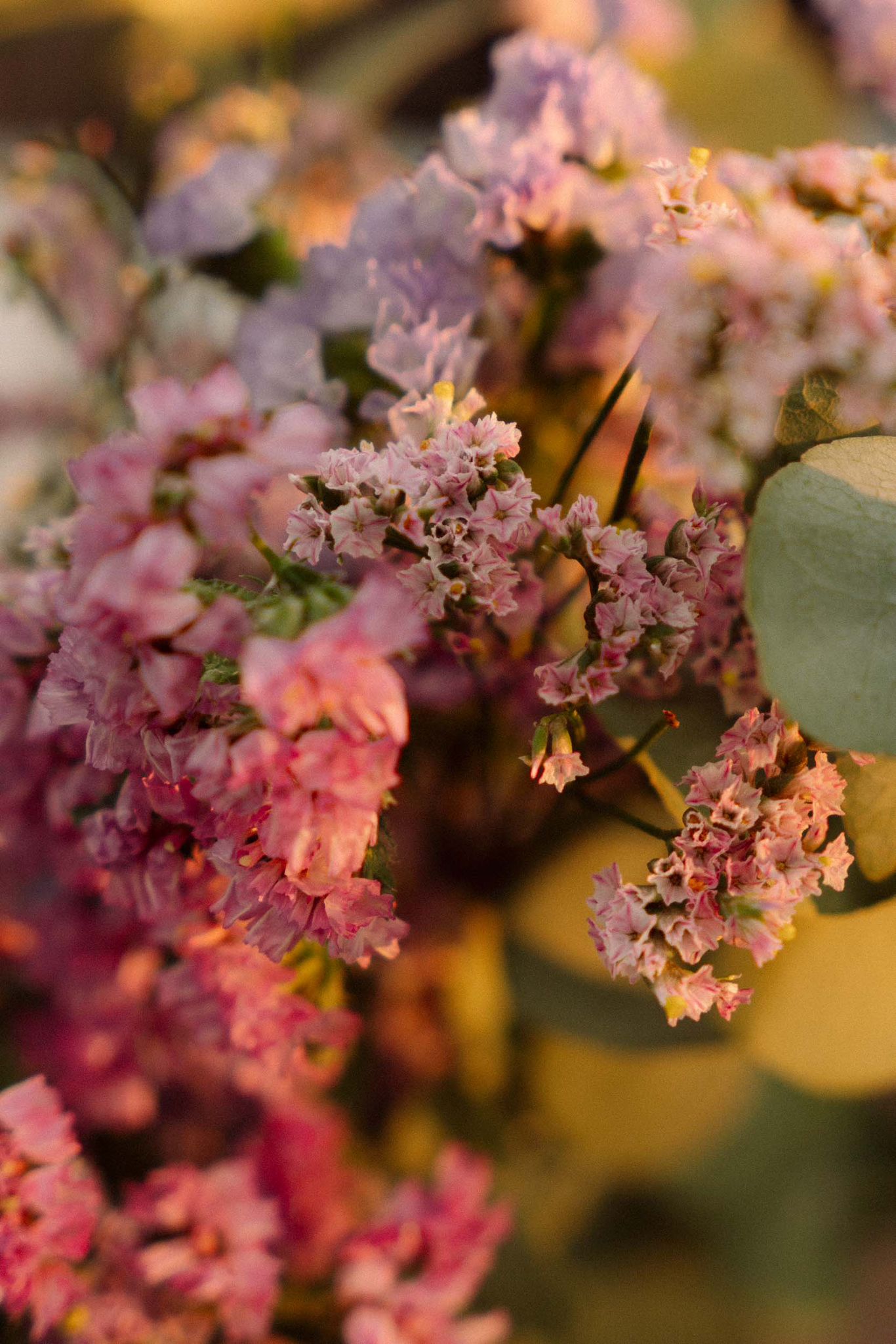 WhatsApp Image 2024-08-06 at 18.45.04